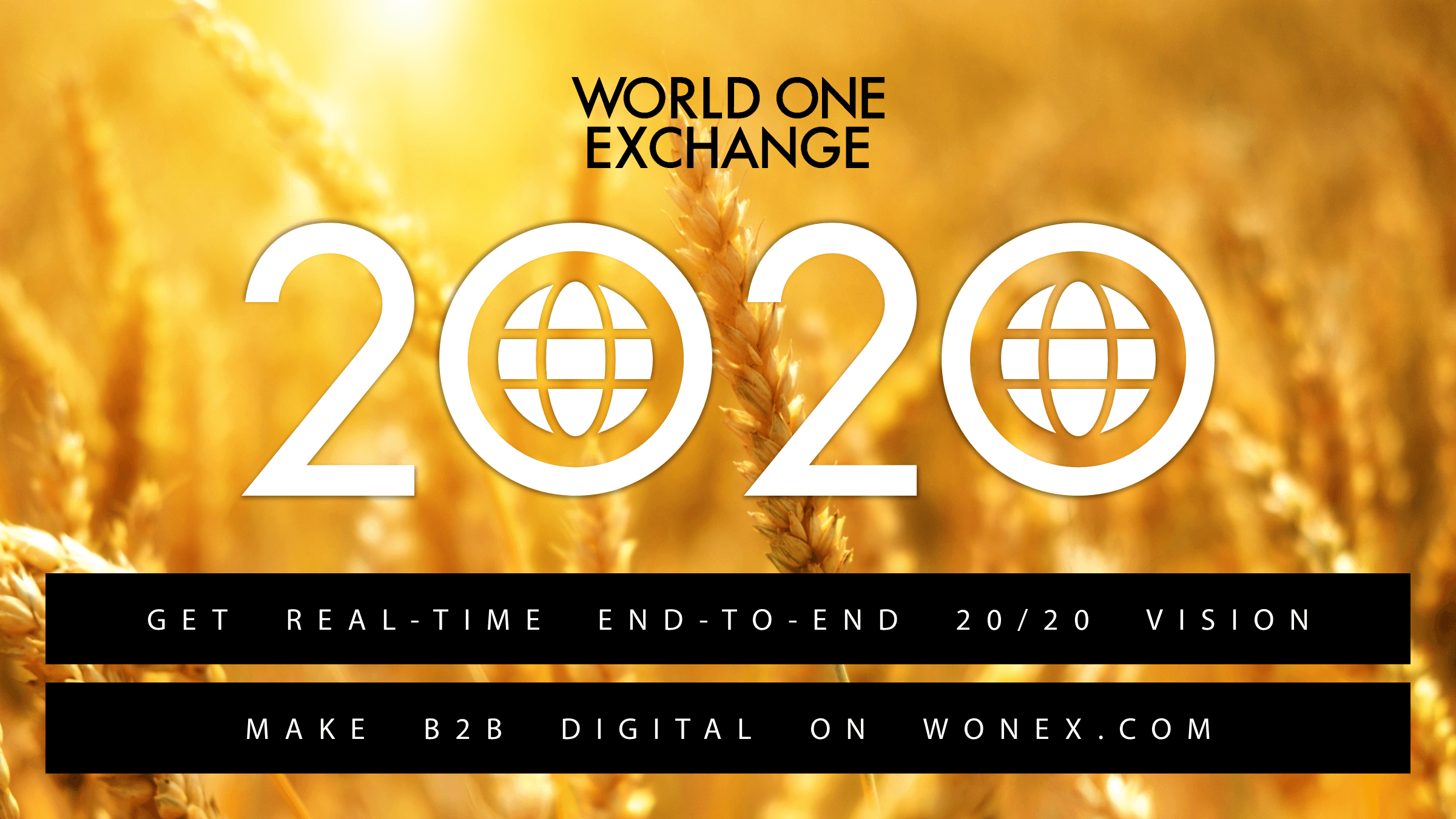 Click to view a larger version 2020 VISION